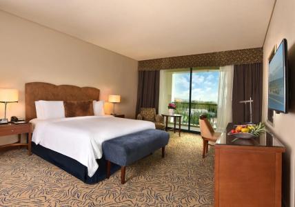 Al Ain Rotana - 4