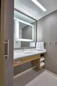 SpringHill Suites by Marriott Charlotte at Carowinds - 23