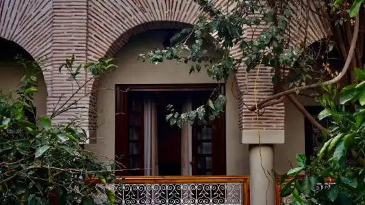 Riad Samsli - 43