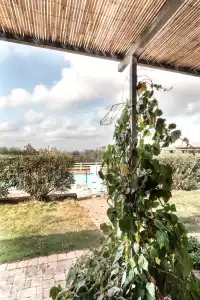 Agriturismo Podere l'Agave - 120