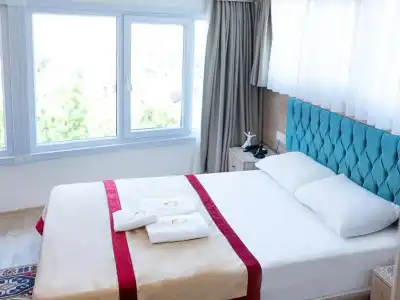 The Laila - 50