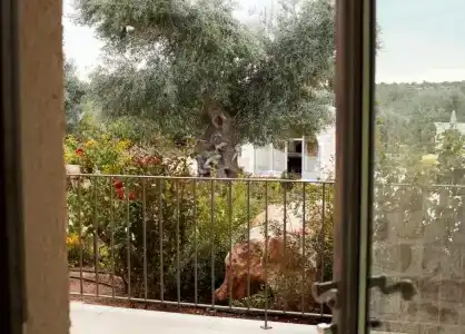 Masseria Grieco - 31