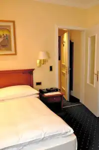Soldanella - 20