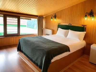 Ayder Doga Resort - 29