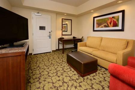 Hilton Garden Inn Greensboro Airport - 135