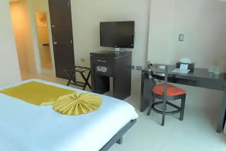 El Español Paseo de Montejo - 58