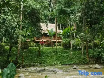 Permata Ayung Private Estate - Adults Only - 194