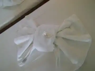 Athos Guest House Pansion - 25