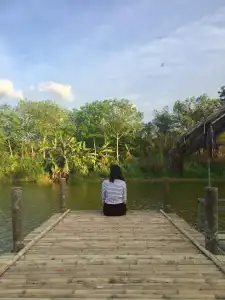 Tipparika Riverview - 16
