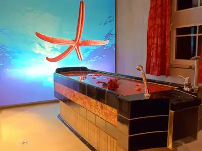Vogel Appartements & Spa - 11
