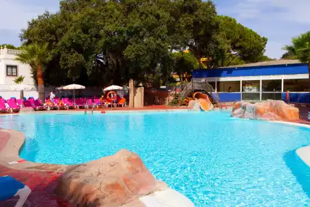 DiverDino Marbella - 9
