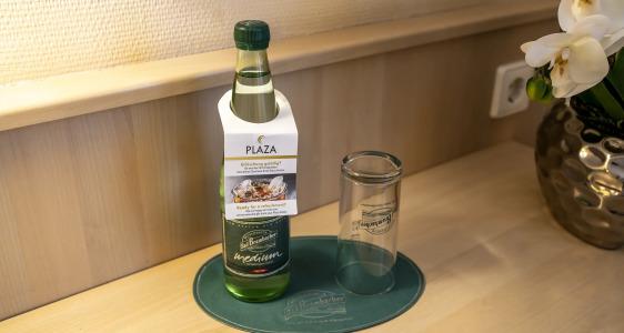 PLAZA INN Chemnitz - 30