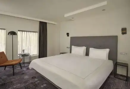 Park Plaza Eindhoven - 28