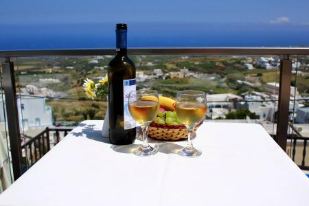 Amerisa Suites & Villa - 19