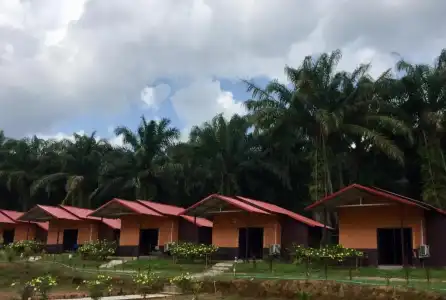 Khao Sok Evergreen House - 67