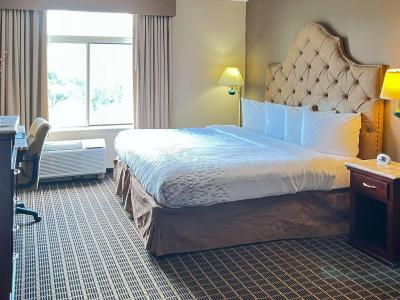 Comfort Inn & Suites Madison East Interstate I-90 - 4