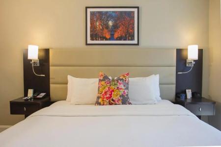 Maverick Suites at 245 Newbury St - 20
