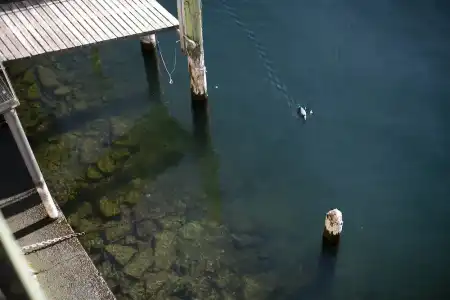 La Darsena di Riva Grande - 49