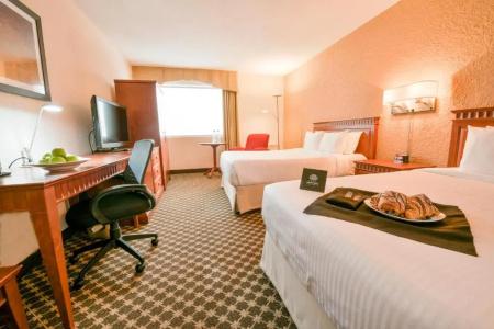 Universel Montreal - 36