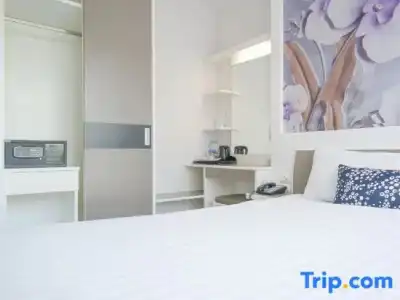 Sino Maison - 127