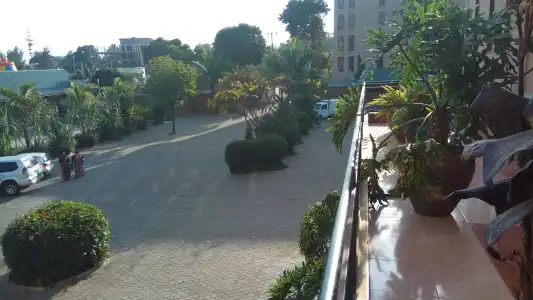 Lush Garden - 31