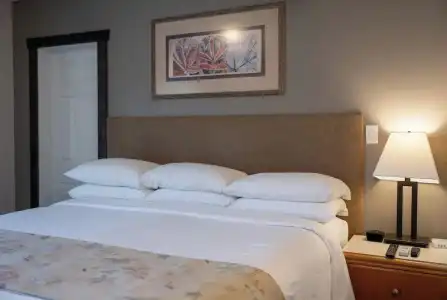 Swiss Chalet Motel - 28