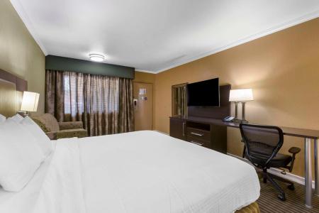 Royal Sun & Suites - 2
