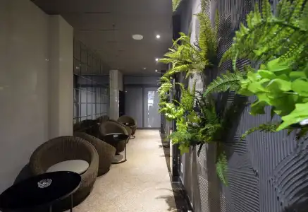 Bonita Signature - 11