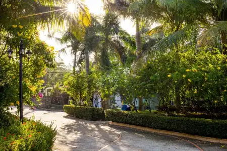 Phu Van Resort & Spa - 95