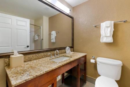 Comfort Suites Lady Lake - The Villages - 46