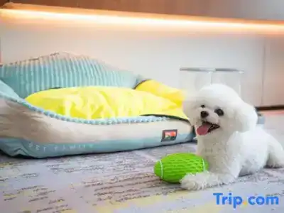 DoubleTree by Hilton Kunming Airport - 70