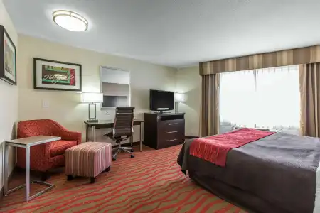 Comfort Inn Los Angeles near Hollywood - 6