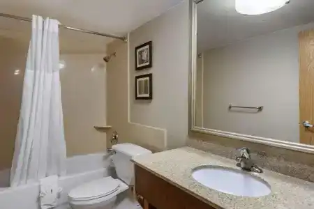 Comfort Inn Lansing West - 49