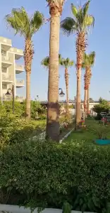 Side Ozgurhan - 48