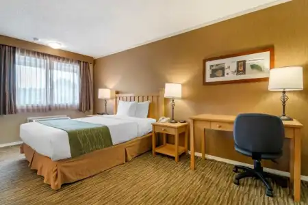 Econo Lodge Inn & Suites - 52