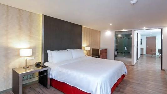 Holiday Inn Zona Centro by IHG - 56