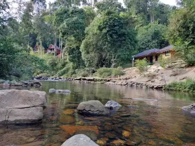 Khaosok Rainforest Resort - 137