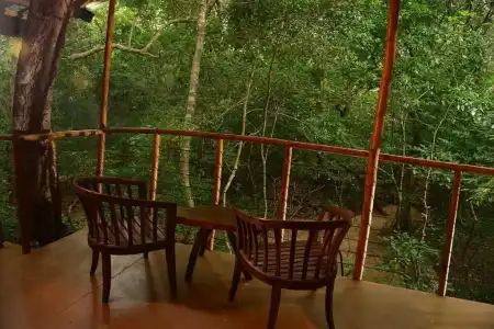 Back of Beyond - Pidurangala - 49