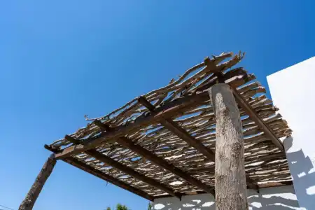 Eco Beach and Magic Garden - 178