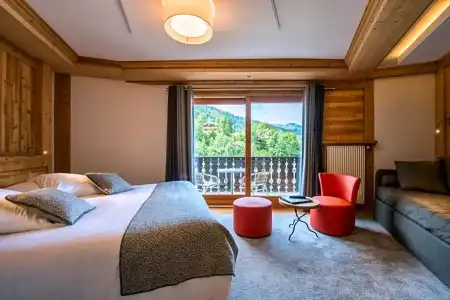 Le Petit Dru - 48