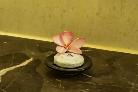 Aanari & Spa - 36