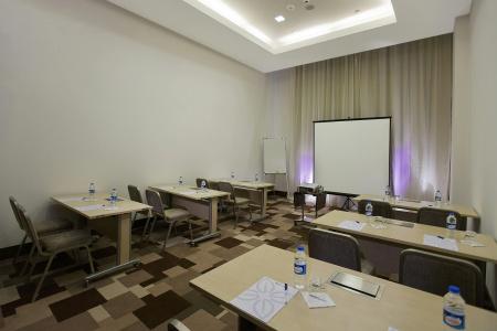 Hilton Garden Inn Kutahya - 43