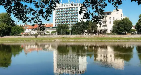 Magnolia - 8