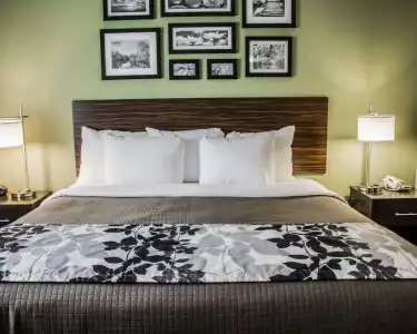 Express Inn & Suites - 40