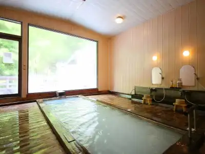 Shirahone Onsen Tsuruya Ryokan - 20