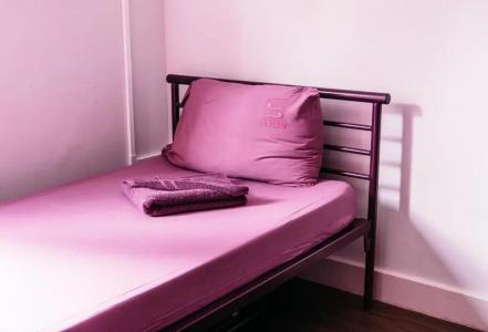 Safestay London Kensington Holland Park - 73