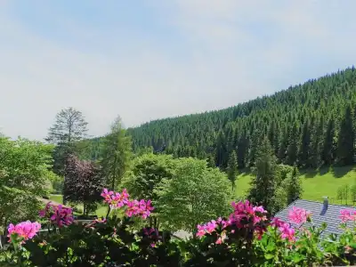 Schwarzwald-Pension Kräutle - 30