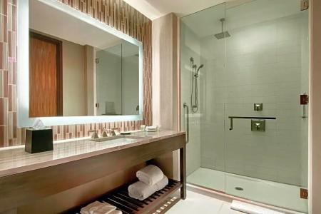 Cambria Downtown Phoenix Convention & Airport - 83