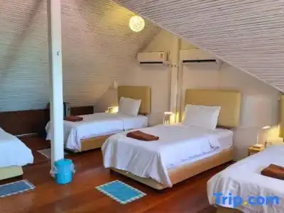 Alpha Resort & Spa - 60