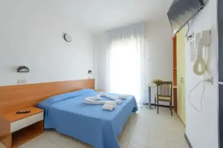 Paloma - 37